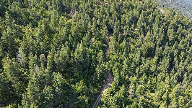 Photo of 2114 Juniper Ln, Bonners Ferry, ID