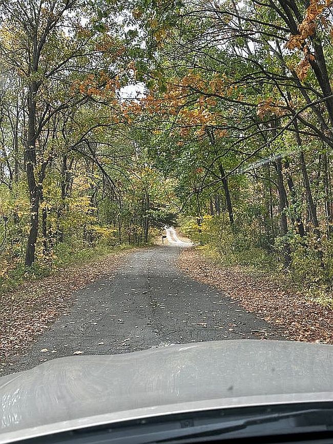 Image of 39 County Road 439A