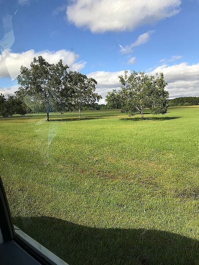 Image of 42 Cordgrass Pointe Rd