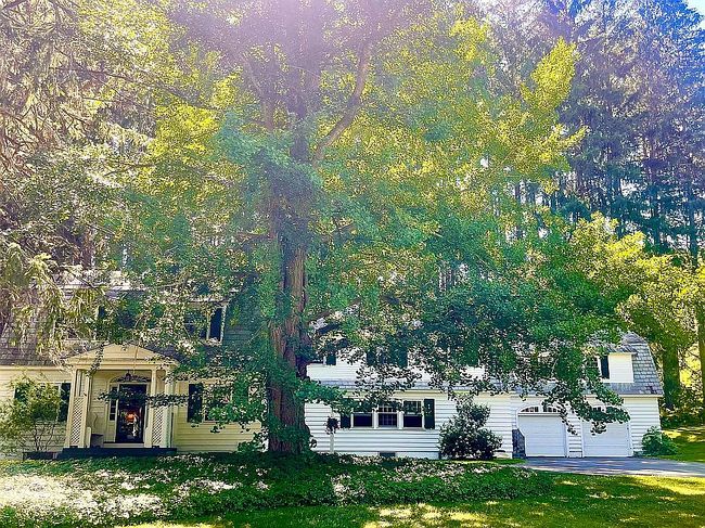 Photo of 287 Cold Spring Rd, Williamstown, MA