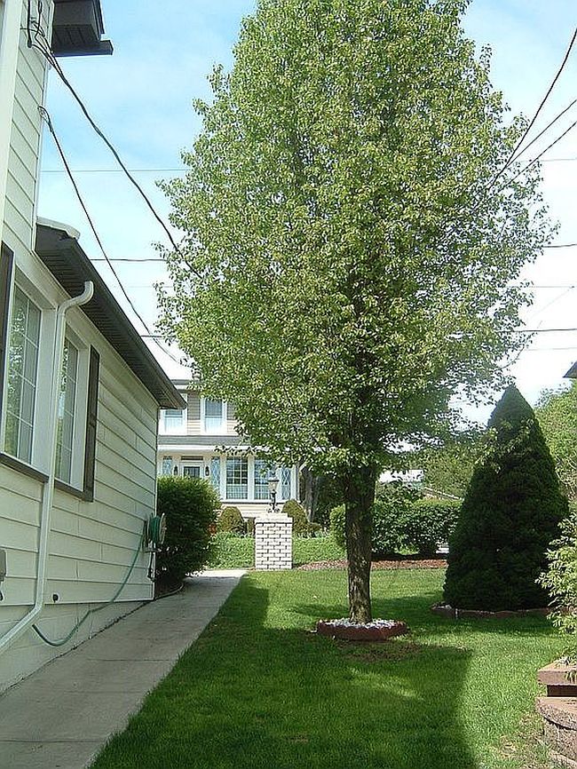 Image of 410 Bedford St