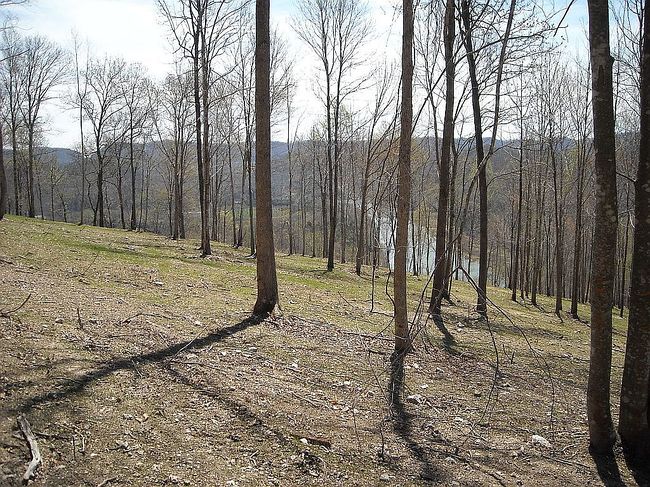 Image of 588 Long Beard Ln