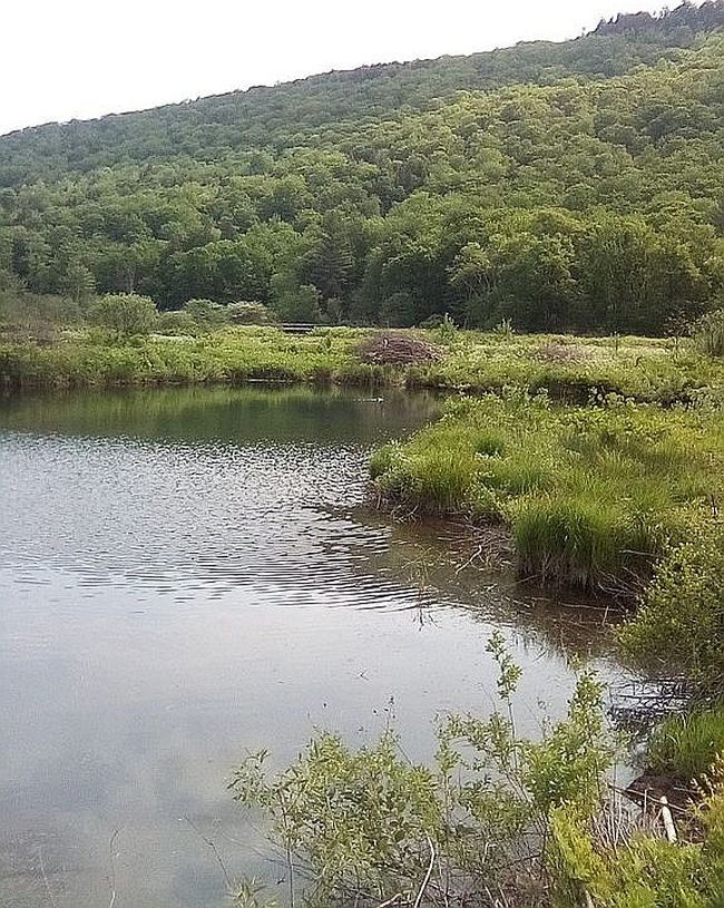 Photo of 4136 State Route 100, Granville, VT