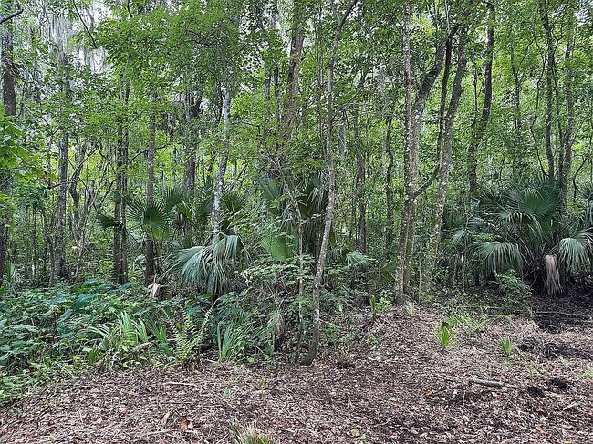 Photo of 116 Orange Tree Rd, East Palatka, FL