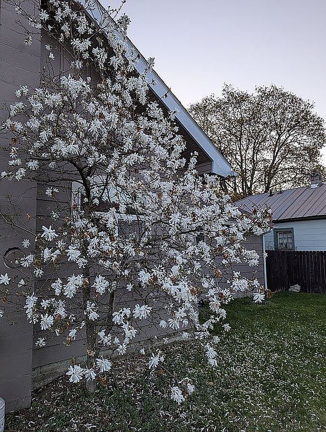 Photo of 119 E Spokane Ave, Troy, MT