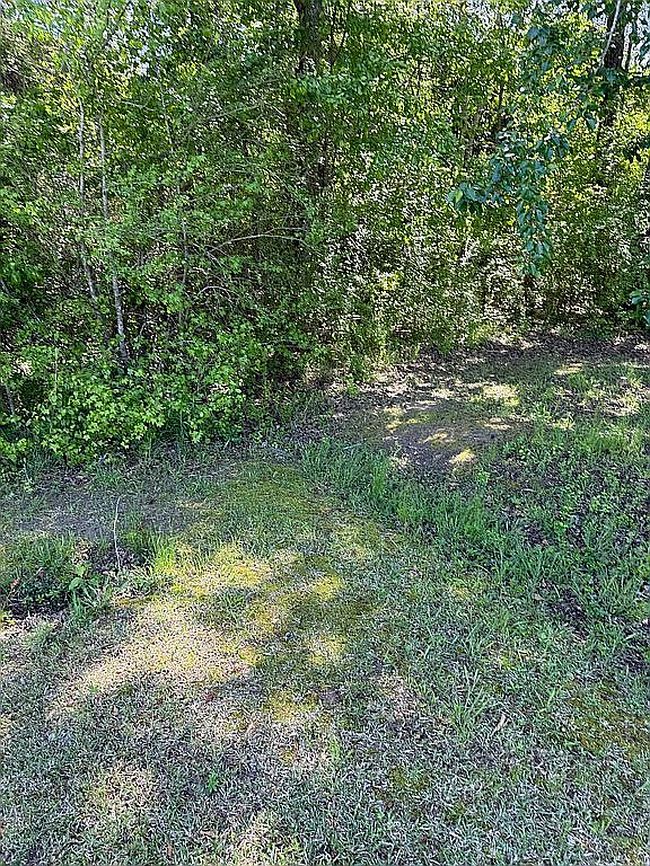 Image of 0 Off Hwy #341