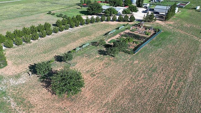 Photo of 474 County Road 106M, Seminole, TX