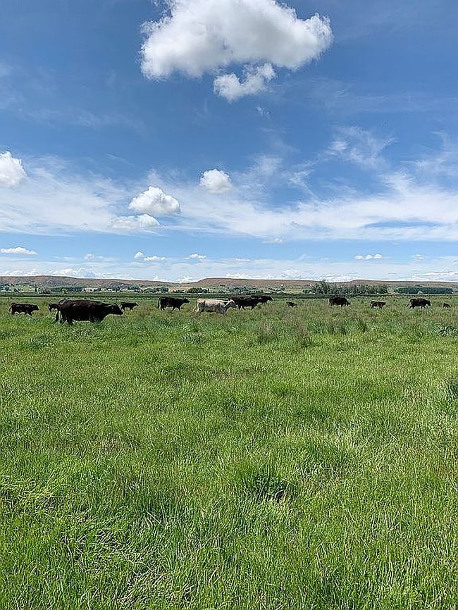 Photo of 9220 Mallard Ln, Emmett, ID