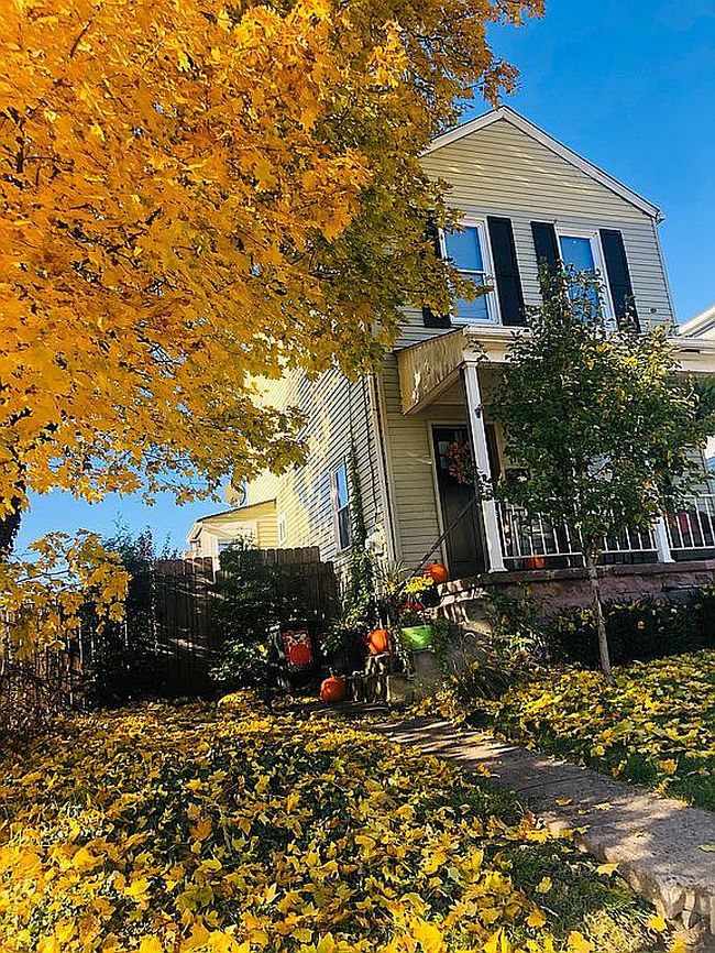 Image of 202 Dora St