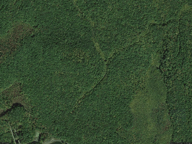 19C231 Hobday Rd, Blooming Grove, PA