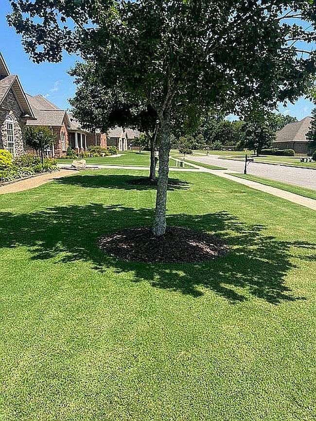 Image of 25215 Queensbury Dr