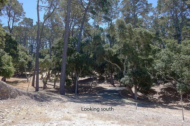 Additional photo 3 of property located at 7855 Monterra Oaks Rd