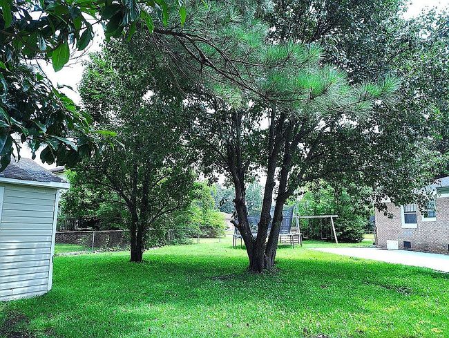 Photo of 400 Winchester Rd, Jacksonville, NC