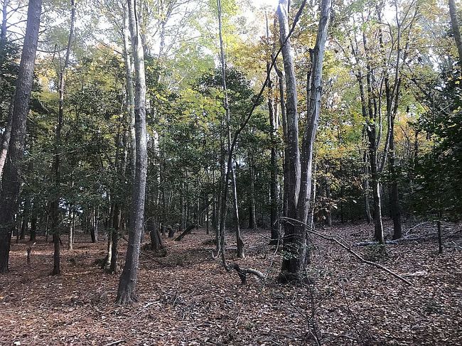 Photo of 0 Latimers Way #10, Cape Charles, VA