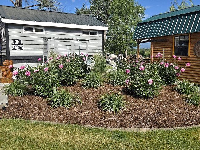 Image of 339 Guinevere Dr