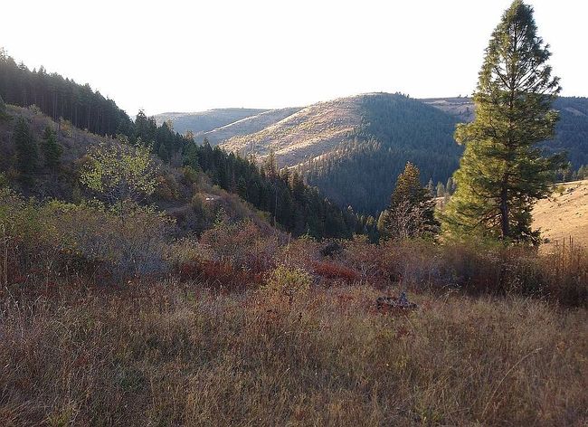 Additional photo 2 of property located at 161 W Lightning Loop Rd