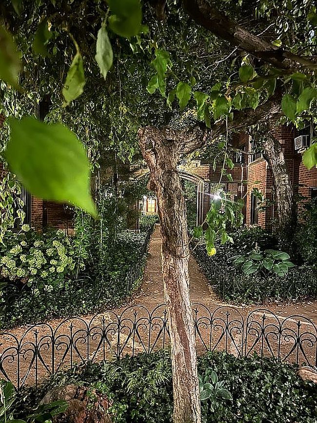 5473 S Ingleside Ave Apt 1E, Chicago, IL