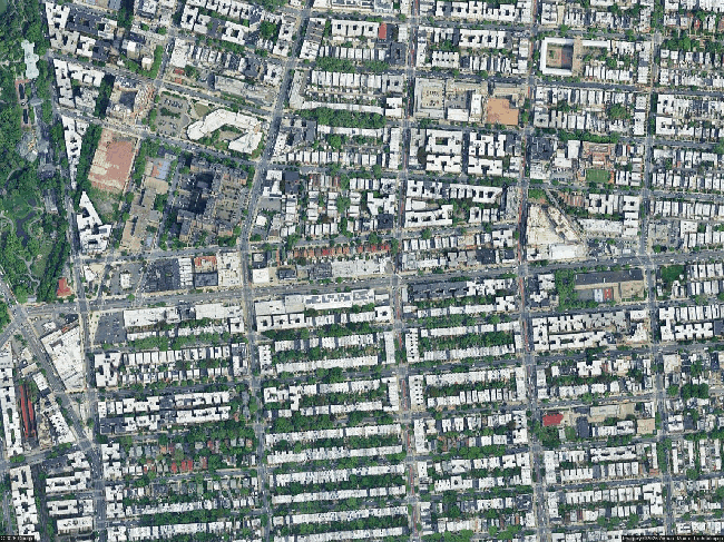 Photo of 552 E New York Ave, Brooklyn, NY