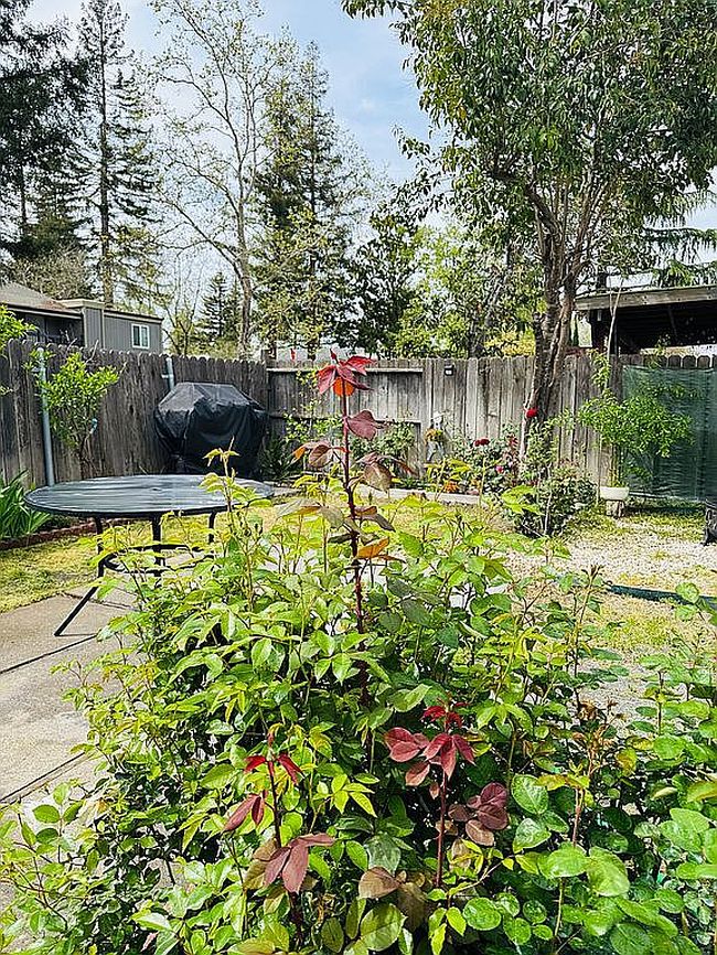 Image of 2436 Rashawn Dr