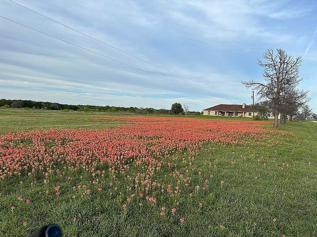 1408 County Road 309, Eastland, TX