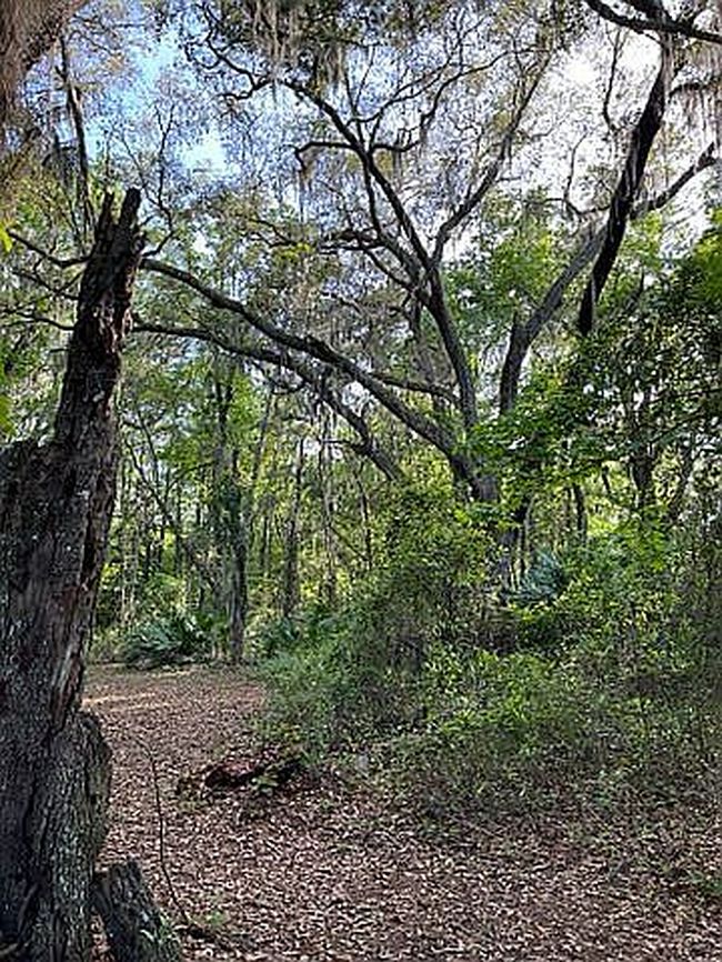 Photo of 0 County Road 209 S, Green Cove Springs, FL