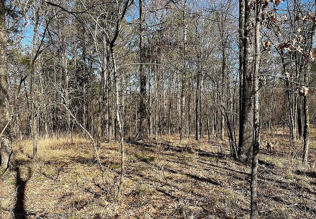 Photo of 246 Highway 463, Madison, MS