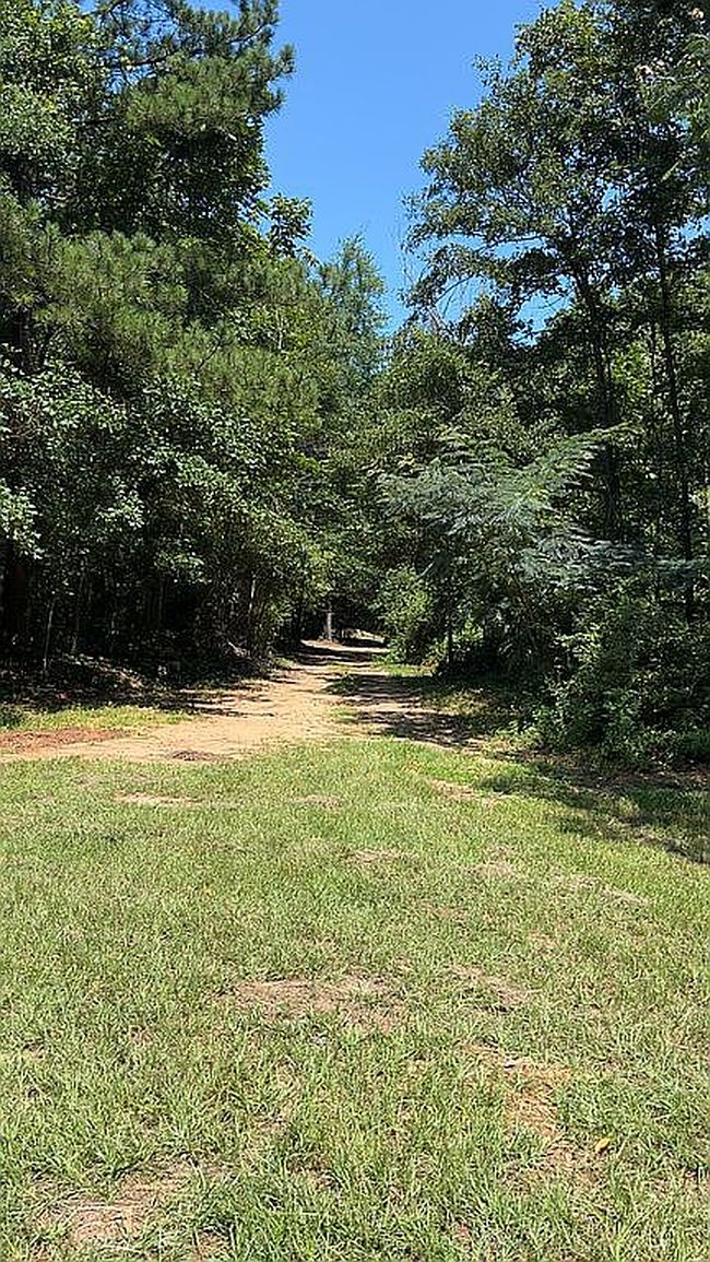Photo of 1901 County Road 72, Billingsley, AL