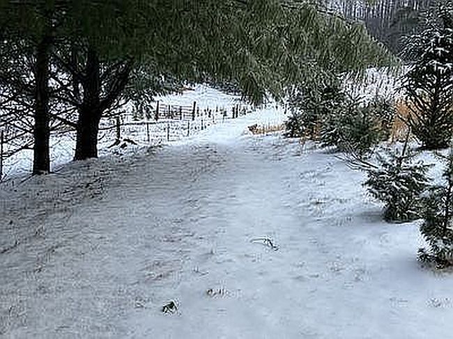 Additional photo 1 of property located at 687 Three Creeks Ln