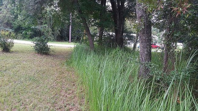 Photo of 23 Bahia Circle Trl, Ocala, FL