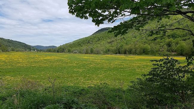 Image of 1295 Vt Route 100
