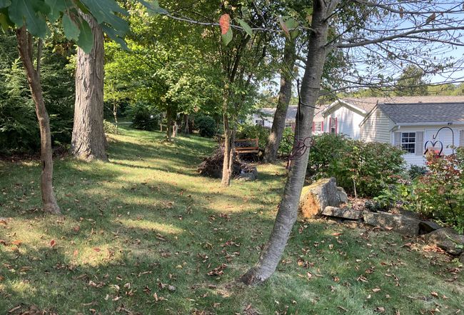 Image of 625 Farmland Way