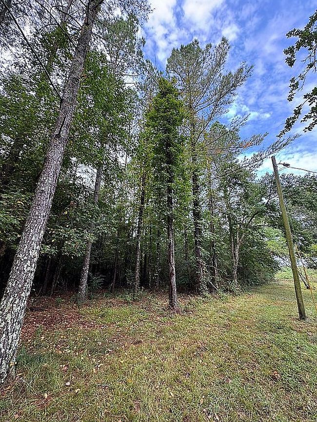 Photo of 6060 Highway 13, Morton, MS