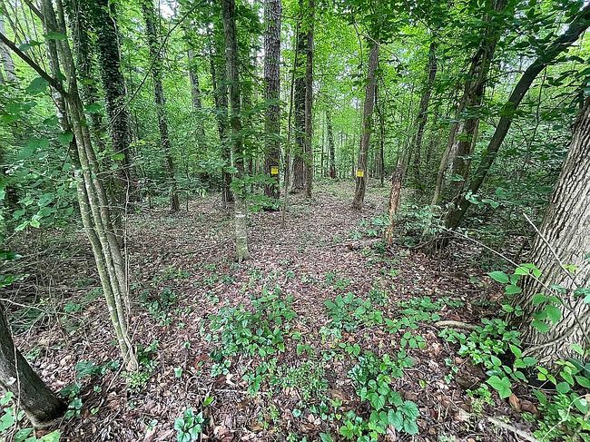 Photo of 474 Lewis Dr, Lavonia, GA
