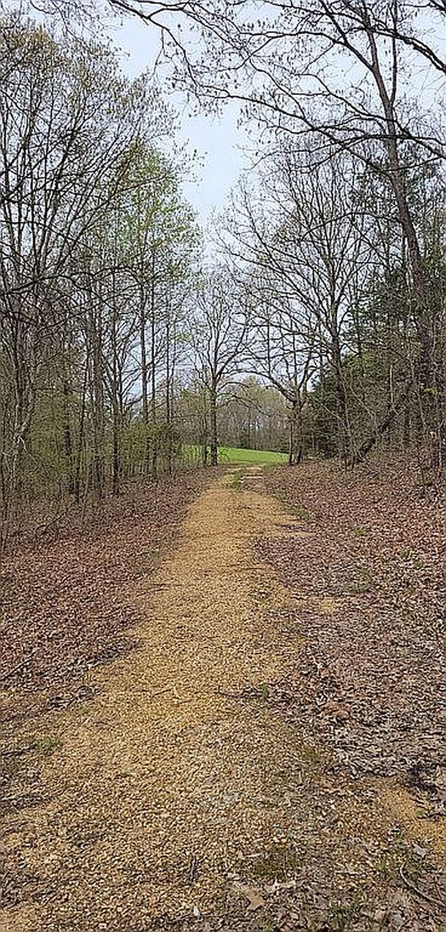 Image of Workman Cemetery Rd