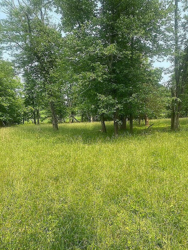 Photo of 7164 Presidential Ln, Knoxville, TN