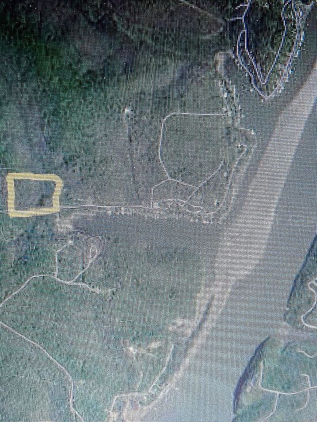 Image of 32893 Cooney Creek Rd