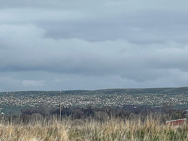 Photo of 9220 Mallard Ln, Emmett, ID