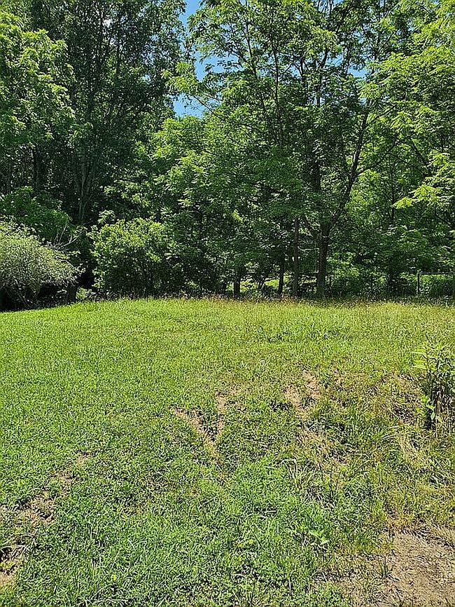Photo of 437 Still House Hollow Rd, Saltville, VA