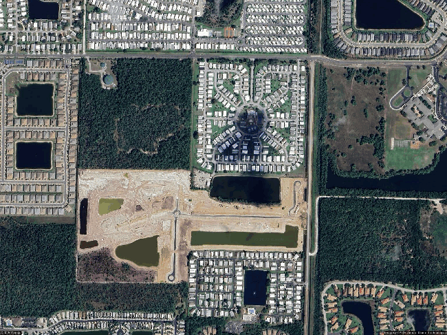 Image of 29 Queen Palm Dr