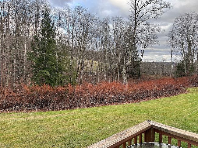 Image of 10846 Forest Lake Rd