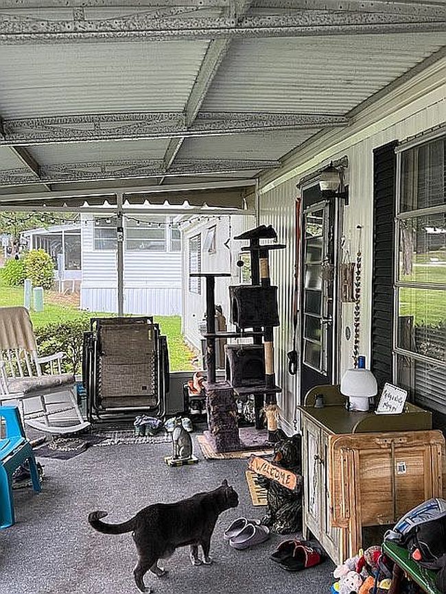 Image of 29 Blue Spruce Ln