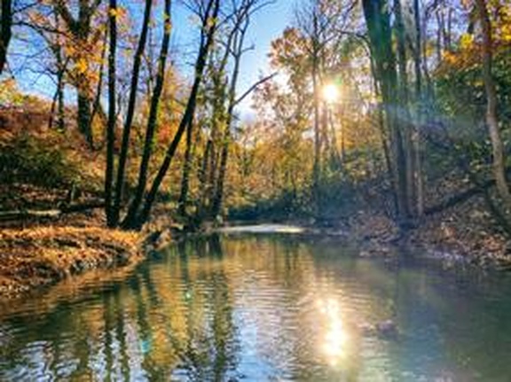 333 Hedgelawn Ave, Roanoke, VA