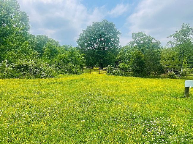 Photo of 10106 Frenchman Mountain Rd, North Little Rock, AR