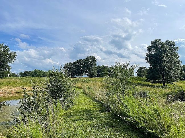 Photo of 5553 Highway 95, Mountain Grove, MO