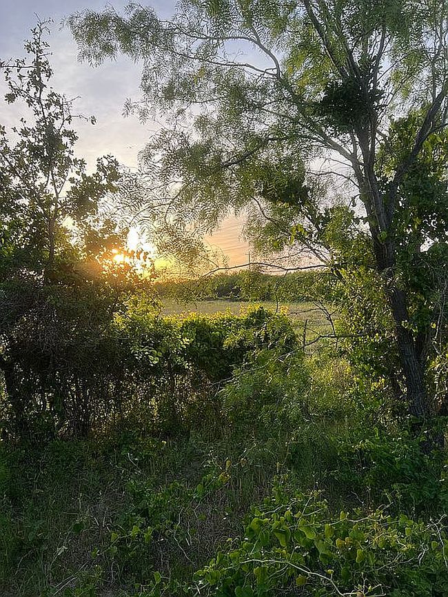 Photo of 6901 County Road 136, Brownwood, TX