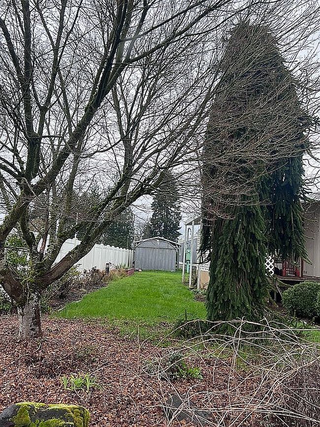 Image of 13401 Ne 28th St Unit 202