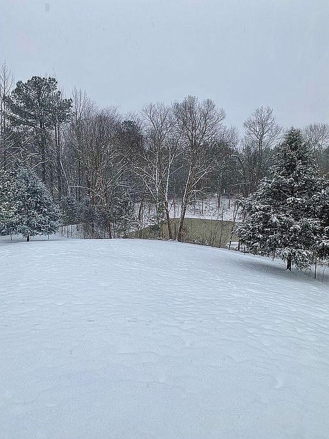 Image of 1489 Petty Rd