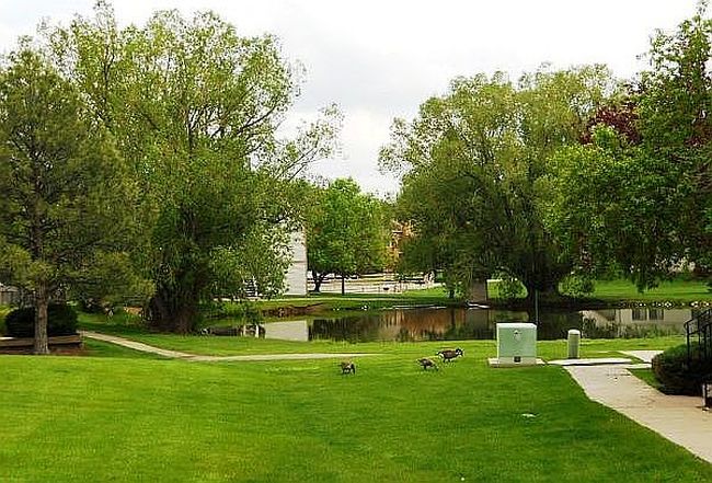 Preview of property located at 1705 Heatheridge Rd Unit E106