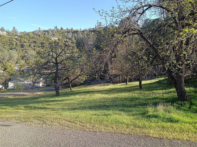 Image of 9815 Sequoia Rd