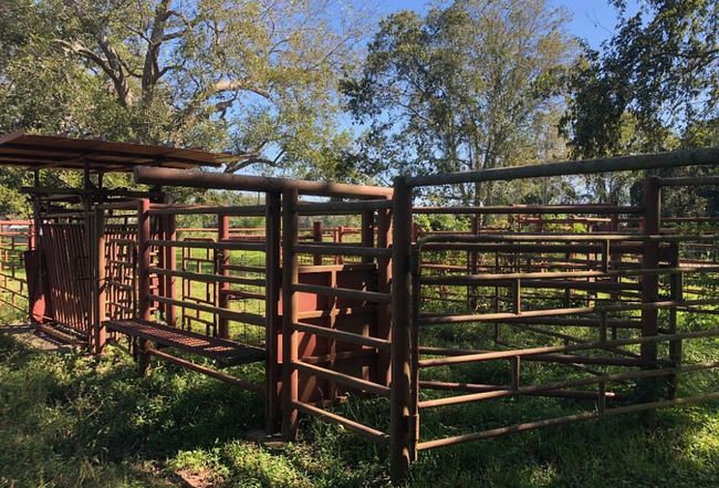 Photo of 8439 Fm 442, Boling, TX